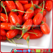 Dulce bayas de goji bayas de goji bayas de goji con bajo contenido calórico